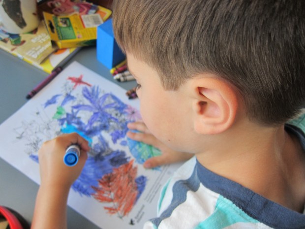 Carbon Footprint (9)