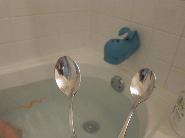 Listen Like Whale (2)