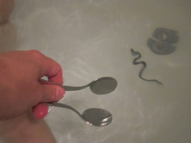 Listen Like Whale (4)