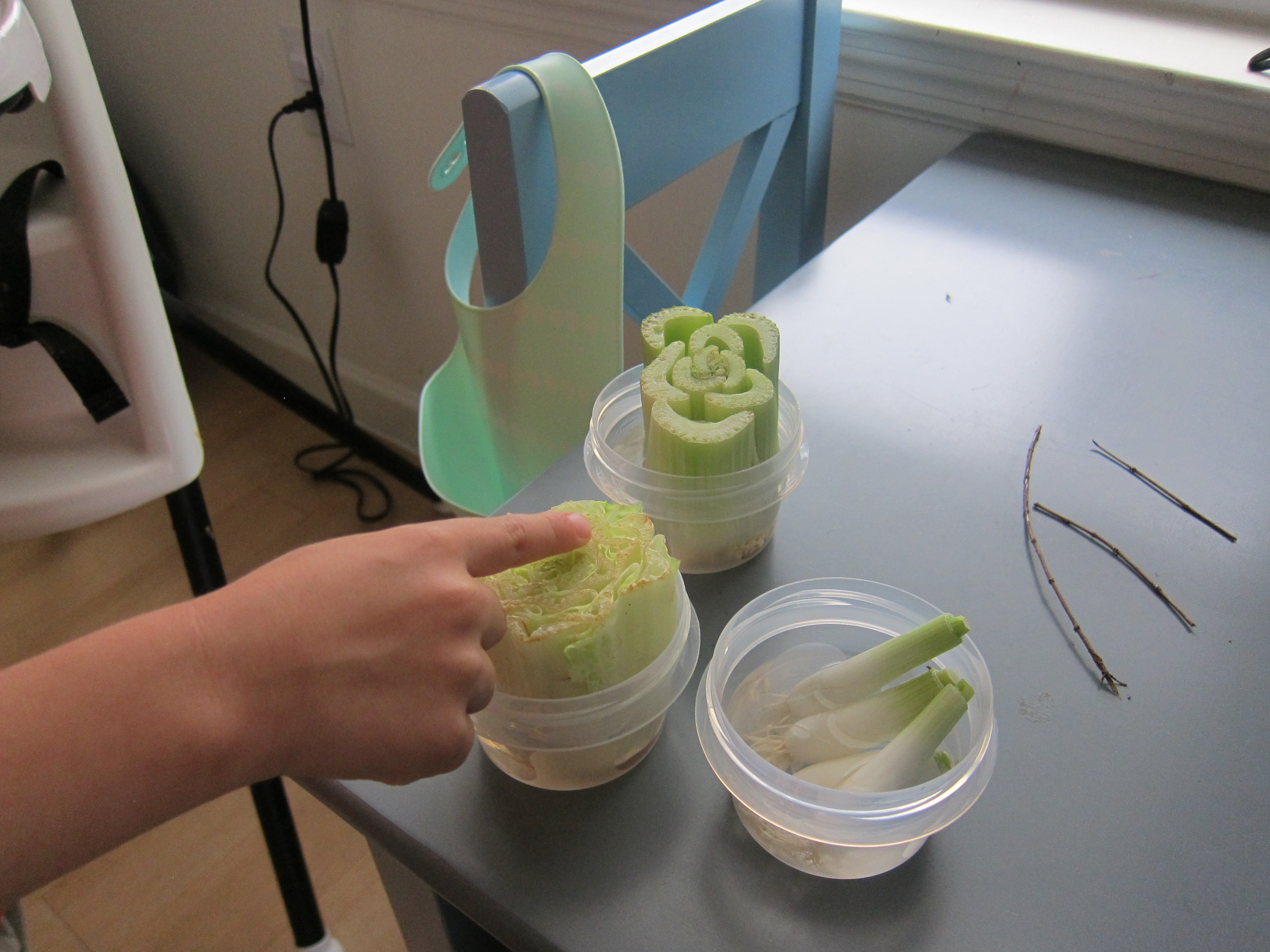 Regrow Food (4)