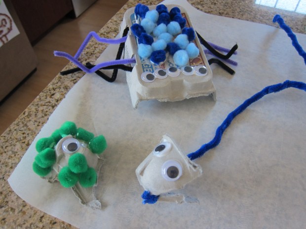 Animal Challenge (5)