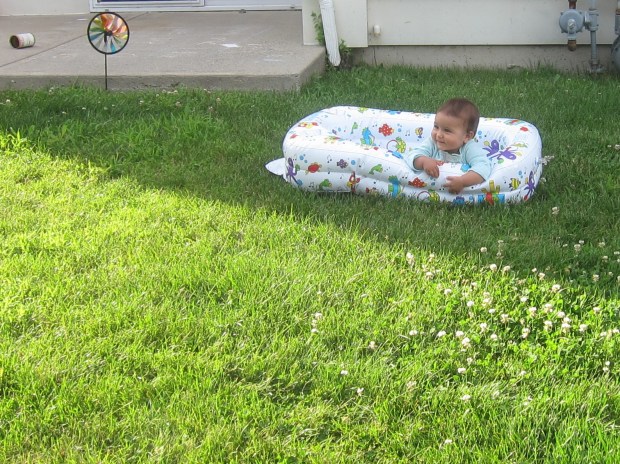 backyard baby.JPG