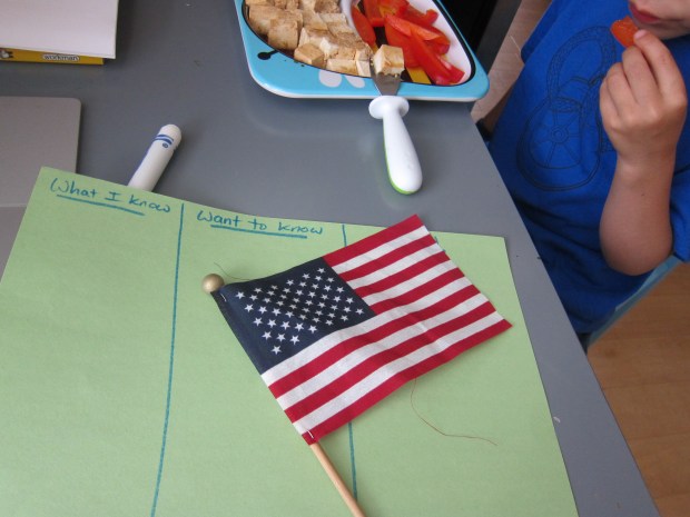 History of the Flag (1)