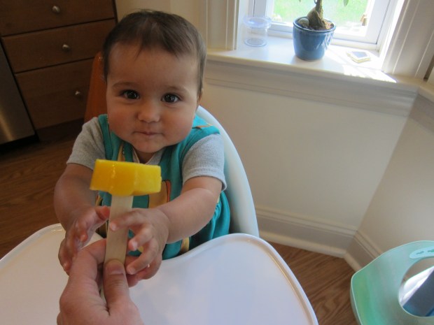 Mango Popsicle (5).JPG