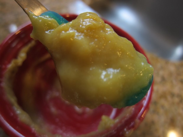 Vegetable Custard alt