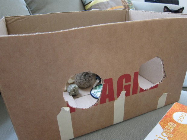 Amazing Astronaut (11)