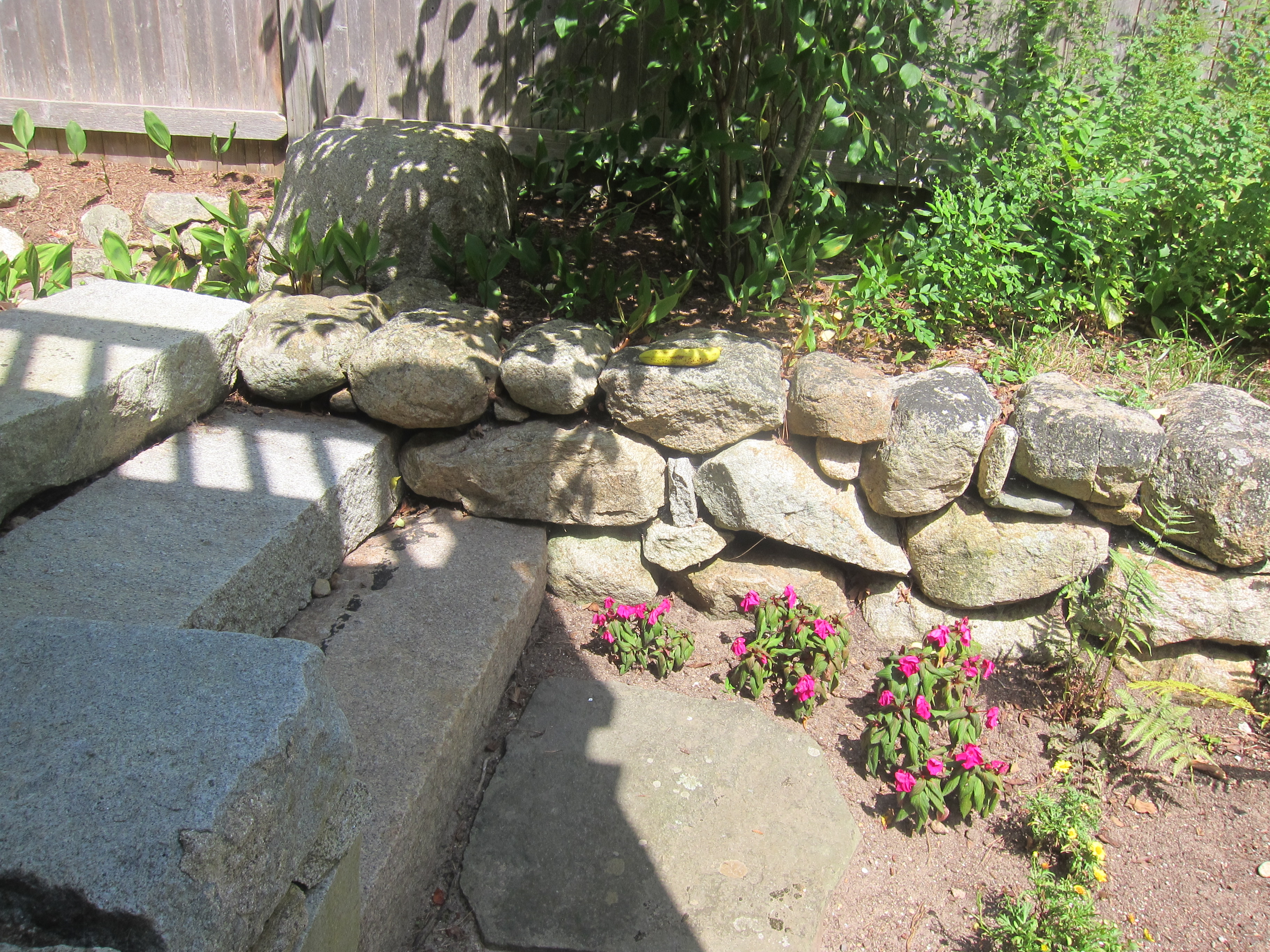 Backyard Foodie (13).JPG