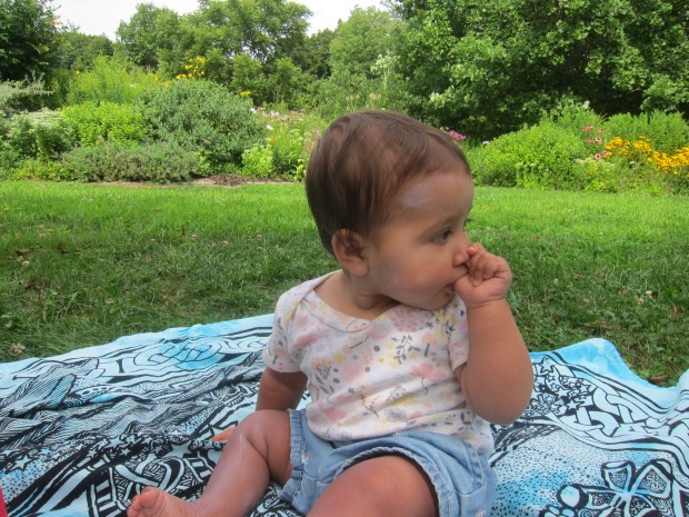 Botanical Garden (5)