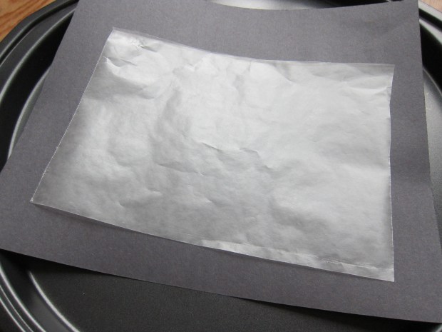 Crayon Suncatcher (1)