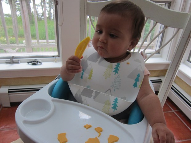 Develop Taste Buds (4)