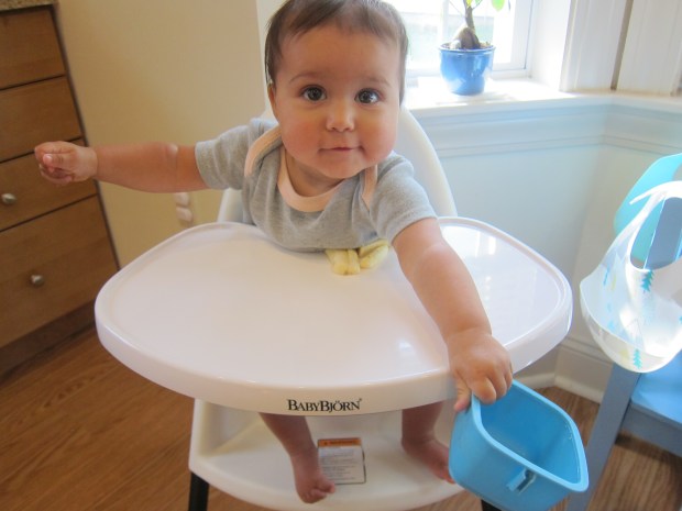 Dropping Objects (12)