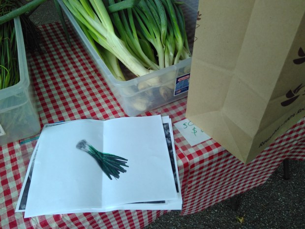 Farmers Market Corn (7)