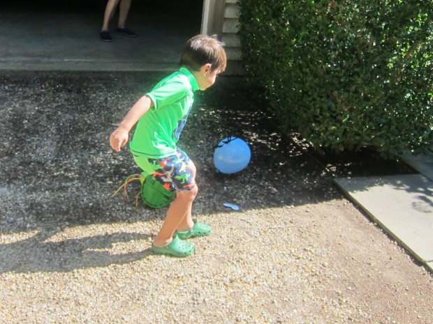 Mosquito Badminton (4)