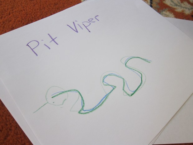 Endangered Animal (4)