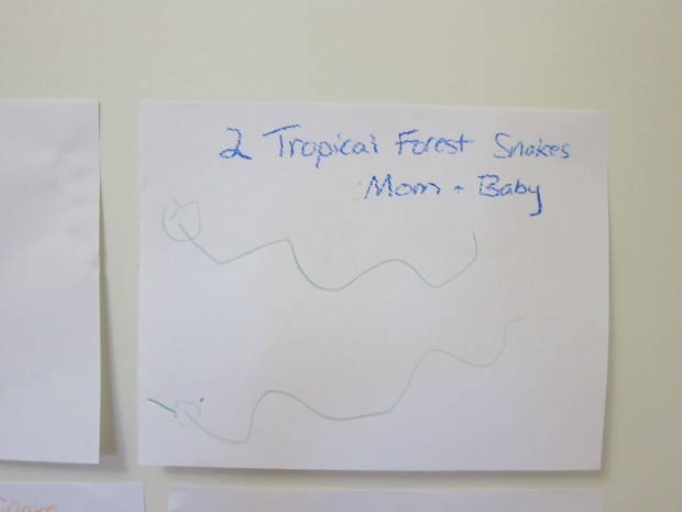 Endangered Animal (6)