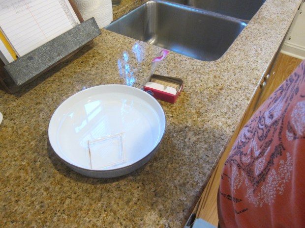 Floating Toothpick (2)