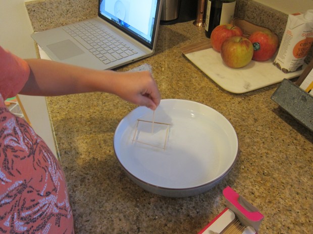 Floating Toothpick (3)