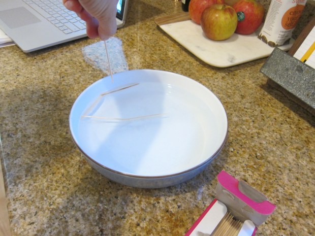Floating Toothpick (4)