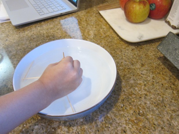 Floating Toothpick (6)