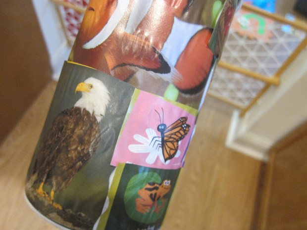 Roly Poly Pictures (3)