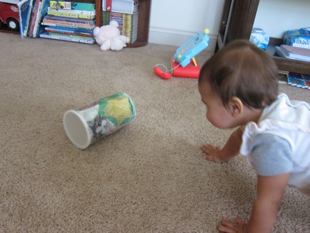 Roly Poly Pictures (8)