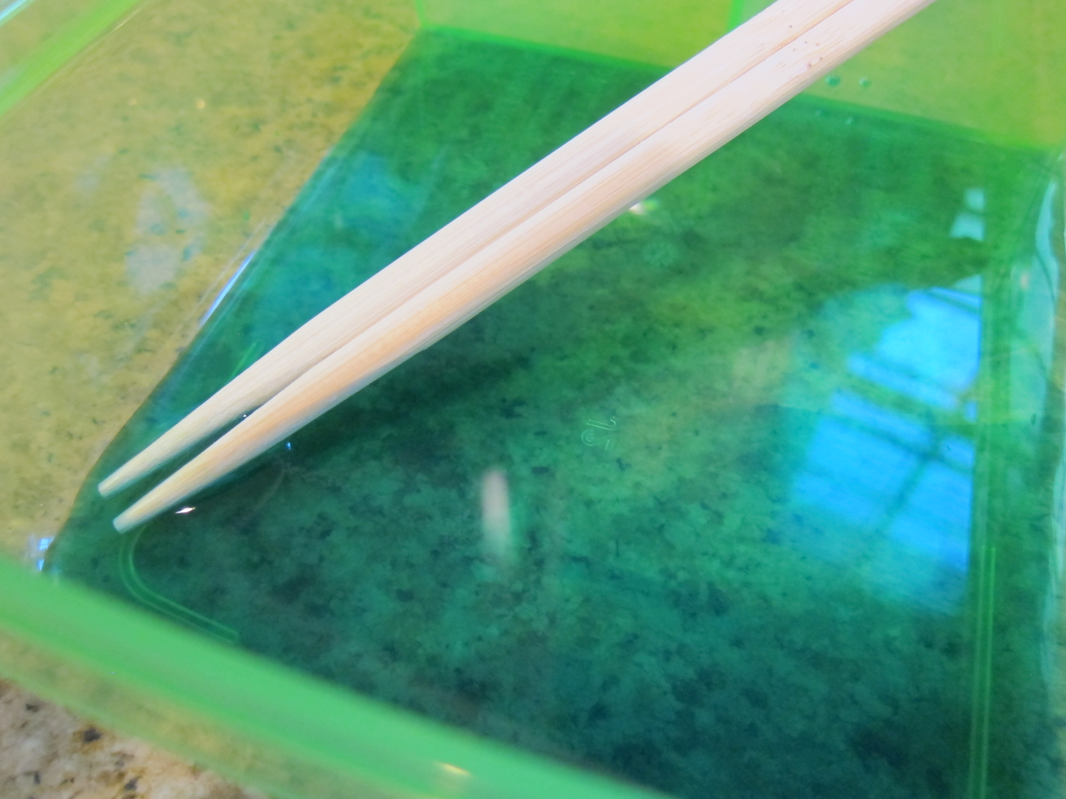 Unpobbable Bubbles (1)