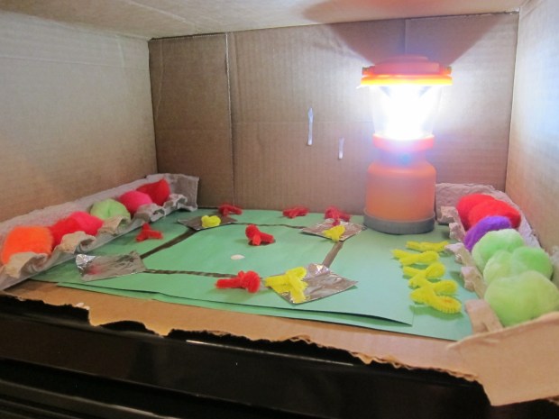 Baseball Explored (7)