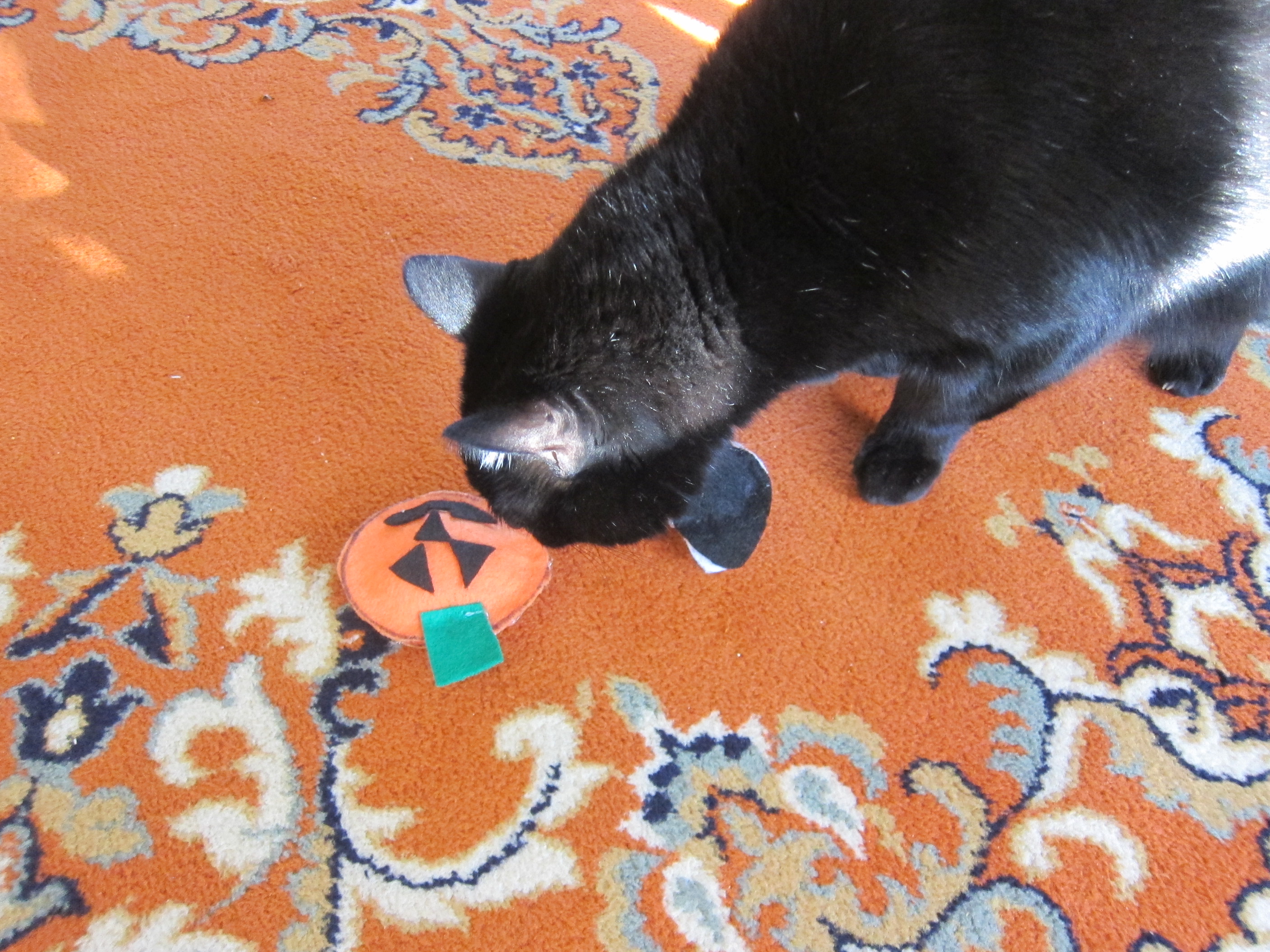 Catnip Toys (7)