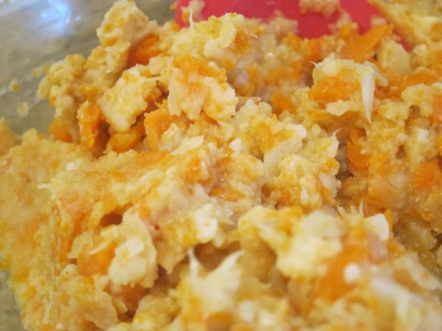 Chickpea Carrot (1)