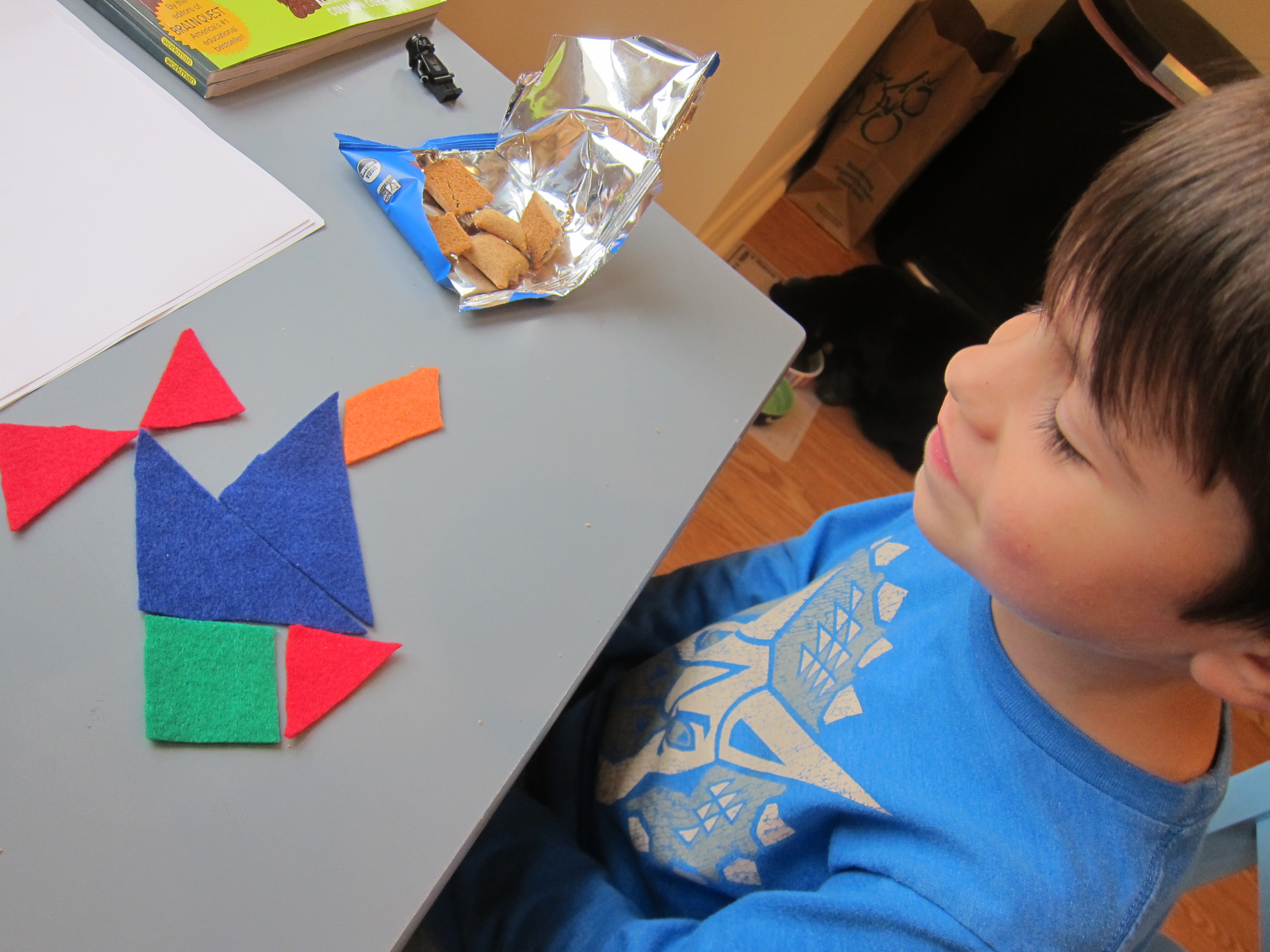 Felt Tangrams (6)