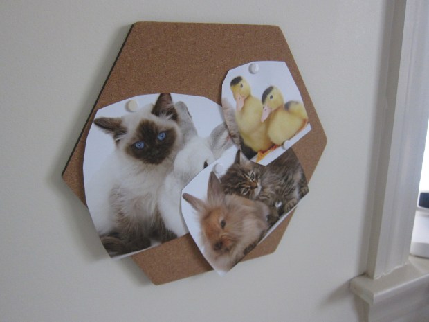 Personalize Space (5)