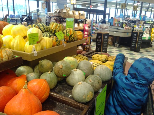 Harvest Scavenger (1).jpg