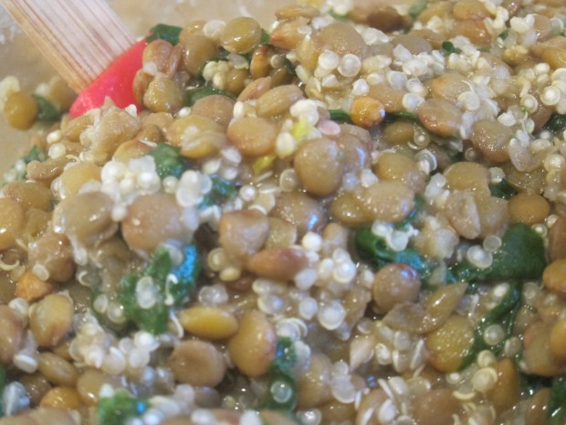 Lentil Spinach b