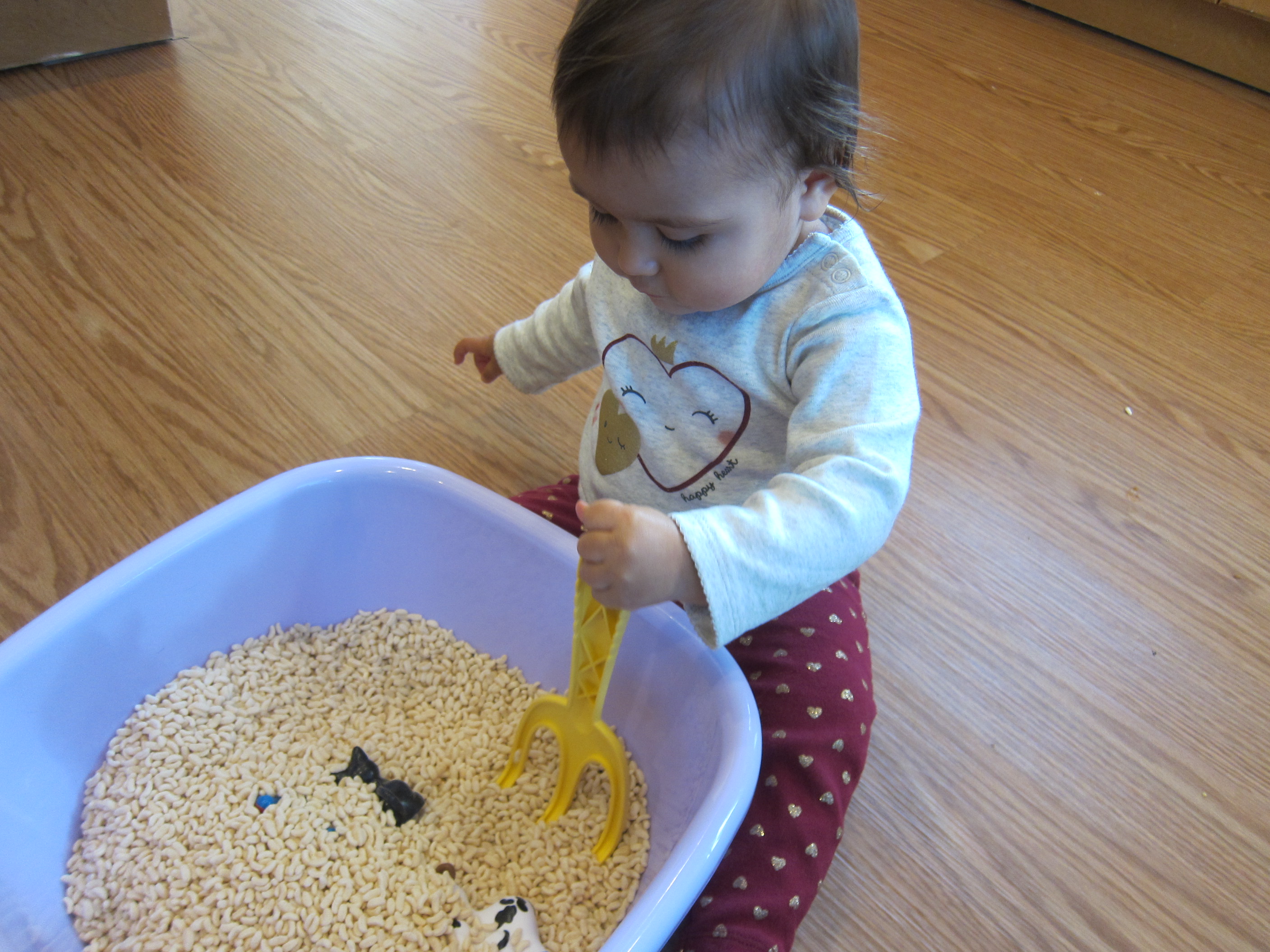 Rice Cereal Sensory Tray – joyful parenting