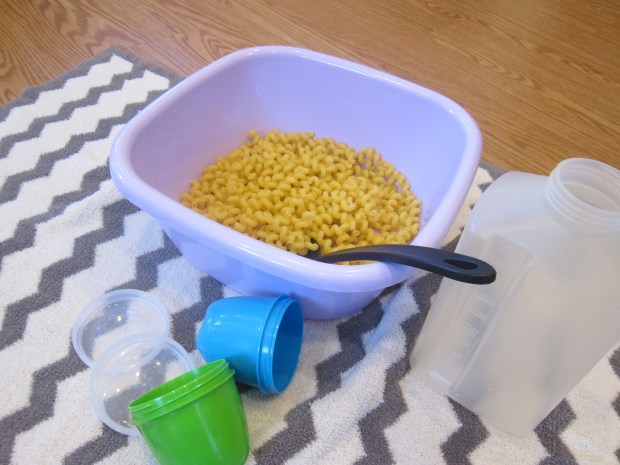 Sensory Dry Pasta (1)