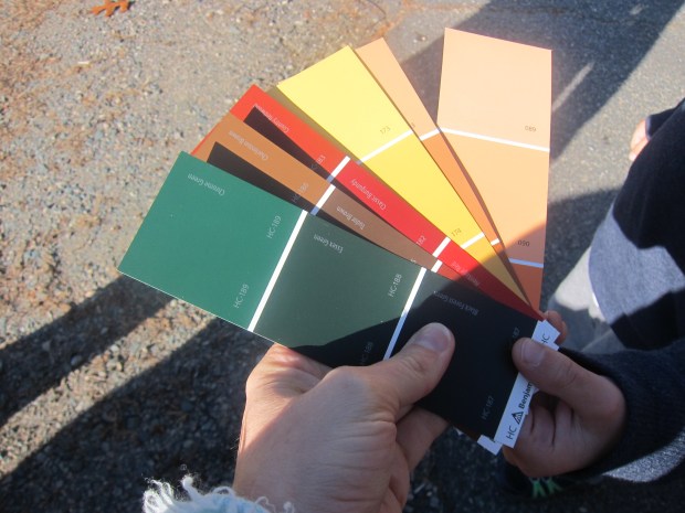 Shades of Nature (1)