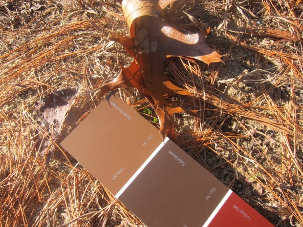 Shades of Nature (2)