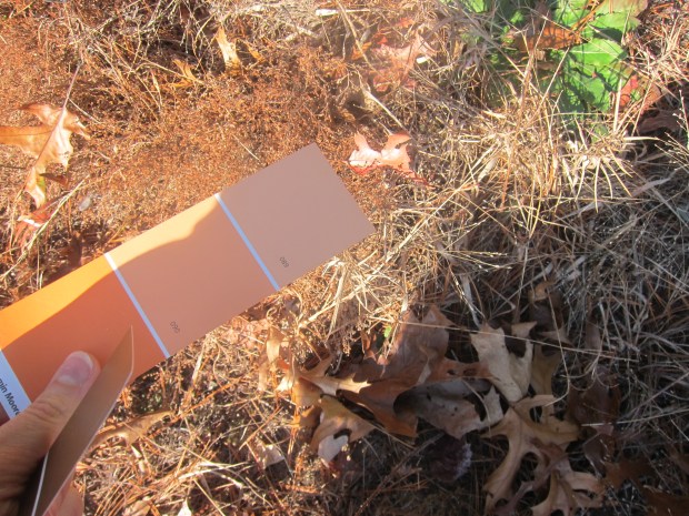 Shades of Nature (3)