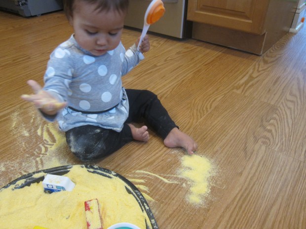 Snesory Cornmeal (9)