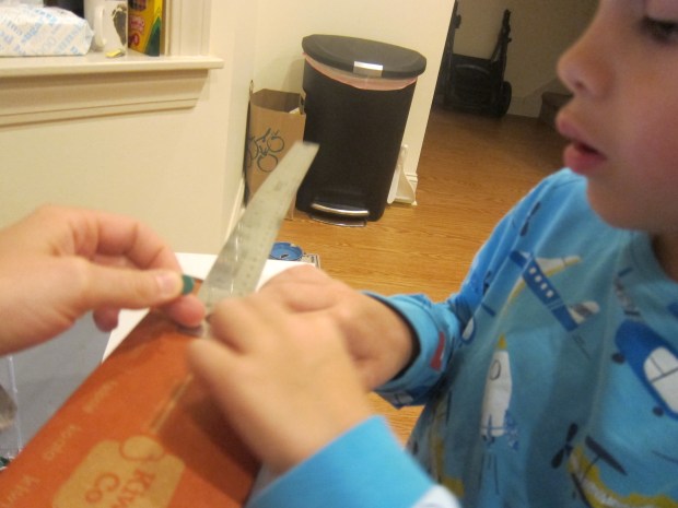 Solar Eclipse Viewer (1)