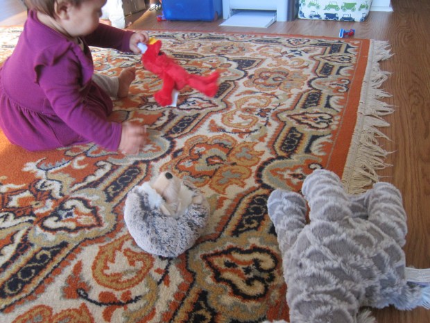 Walk Wheelbarrow (4)