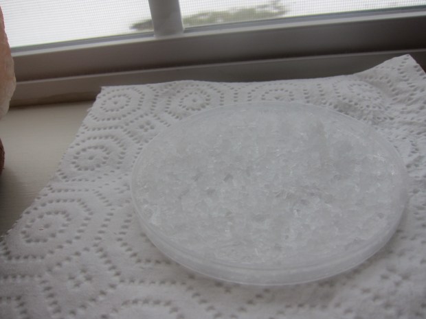 Crystal Suncatcher (5)