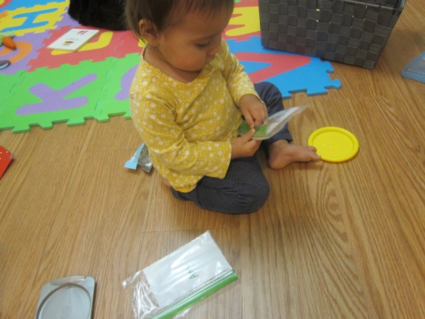 Family Flash Cards (4)