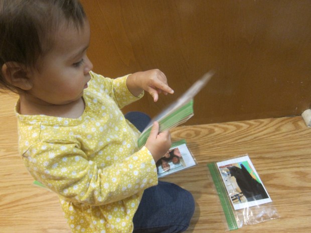 Family Flash Cards (6)