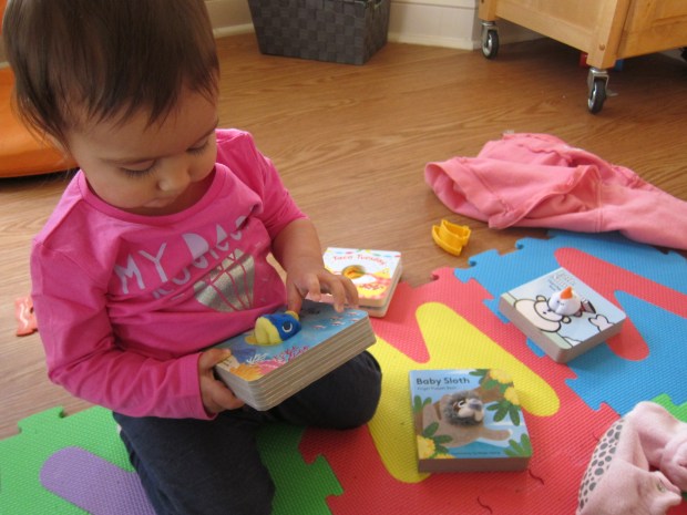 Finger Puppet Book (1)