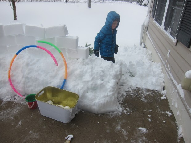 Snow Fort (j)