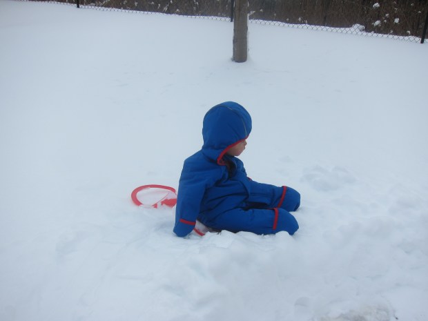 Take a Sled Ride (2)