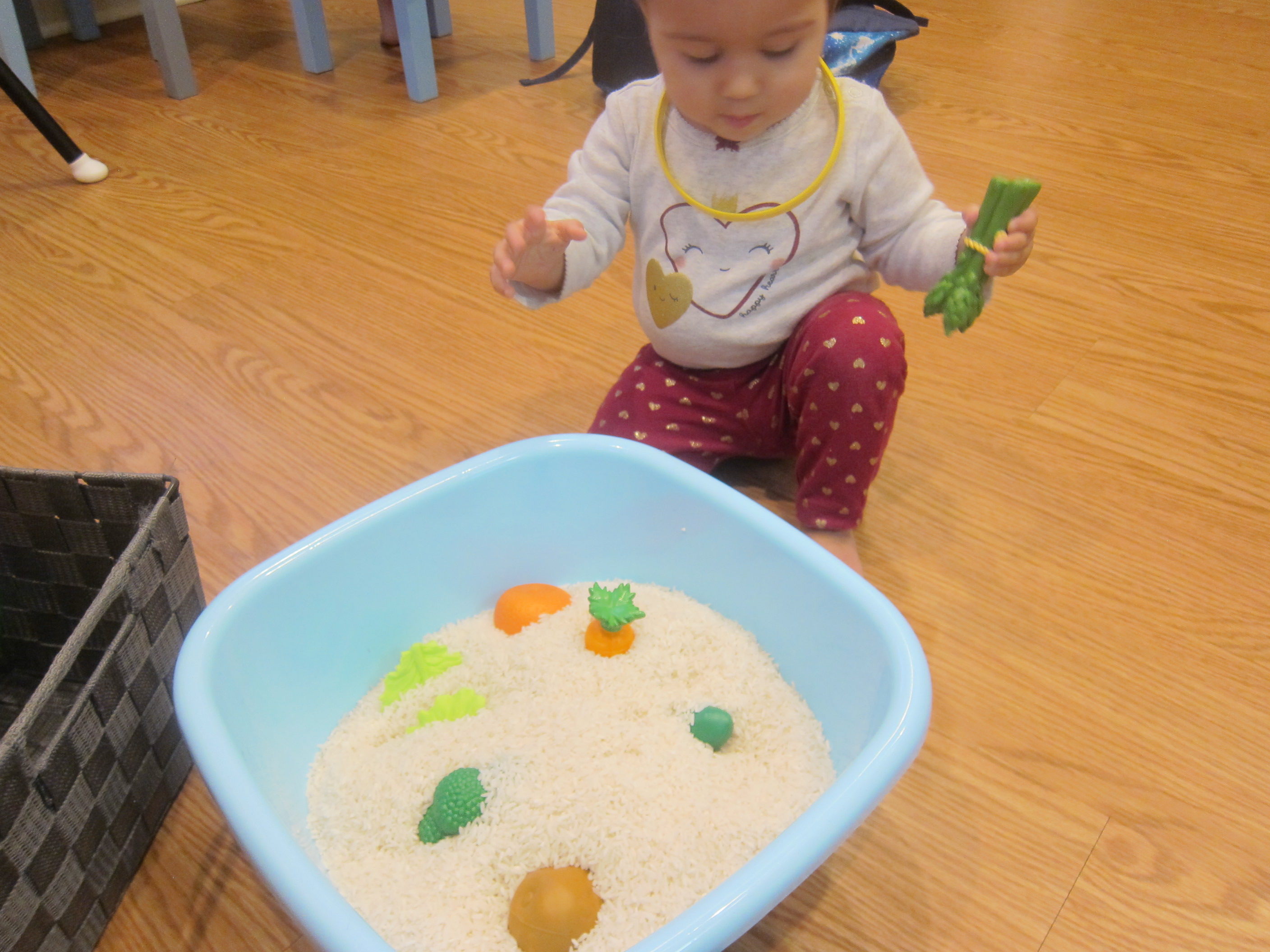 Toys in Rice (2)