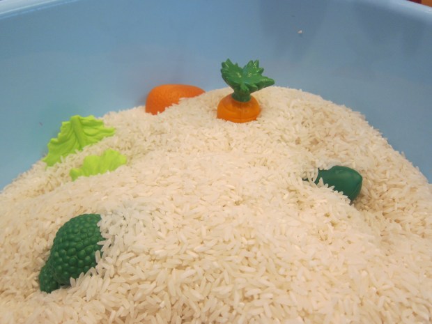 Toys in Rice (3)