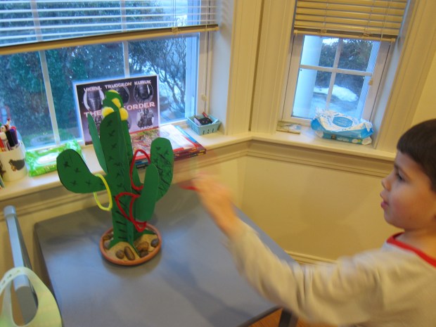 Cactus Toss (9)